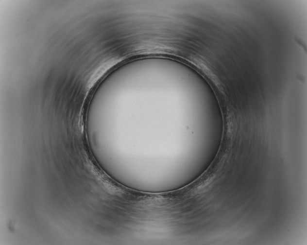 X0000103170885200809051719