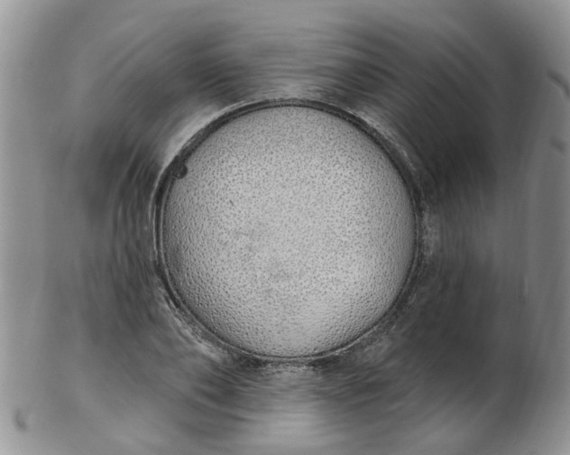 X0000103170886200809051719