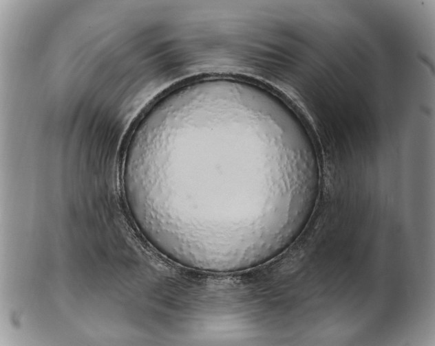 X0000103170887200809051719