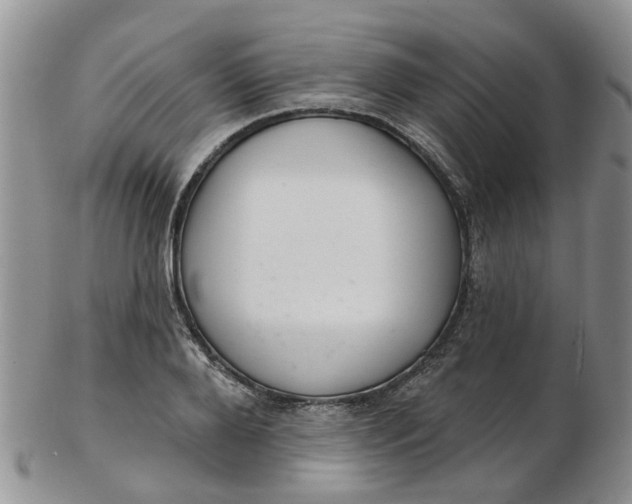 X0000103170888200809051719