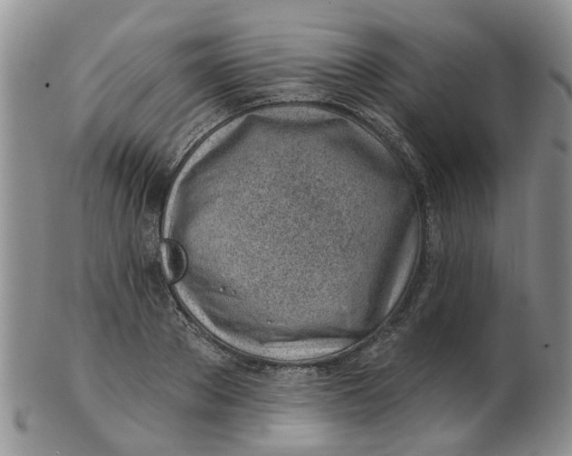 X0000103170889200809051719