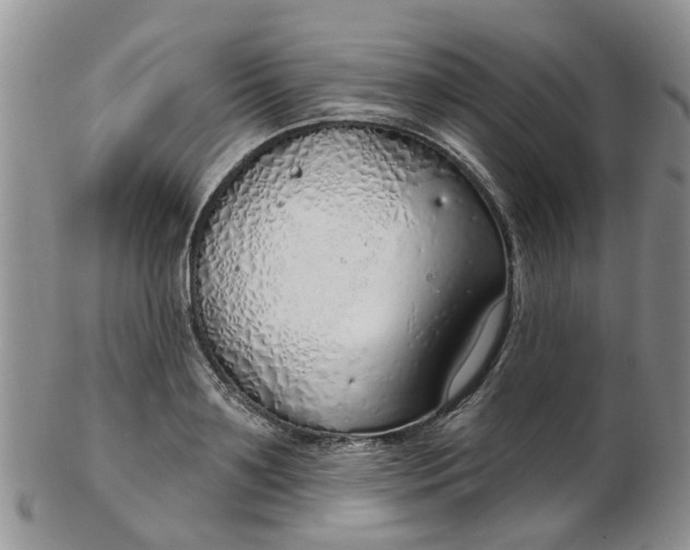 X0000103170891200809051719