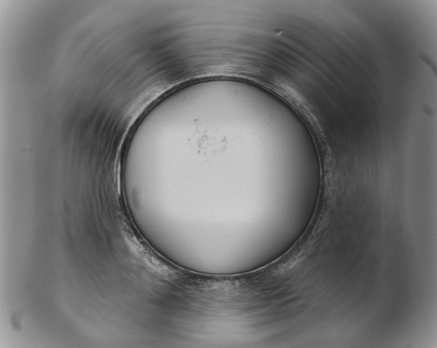 X0000103170892200809051719