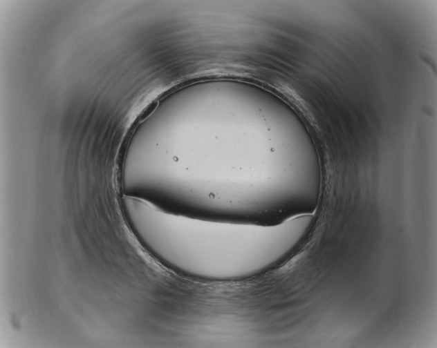 X0000103170893200809051719