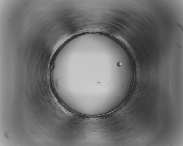 X0000103170894200809051719