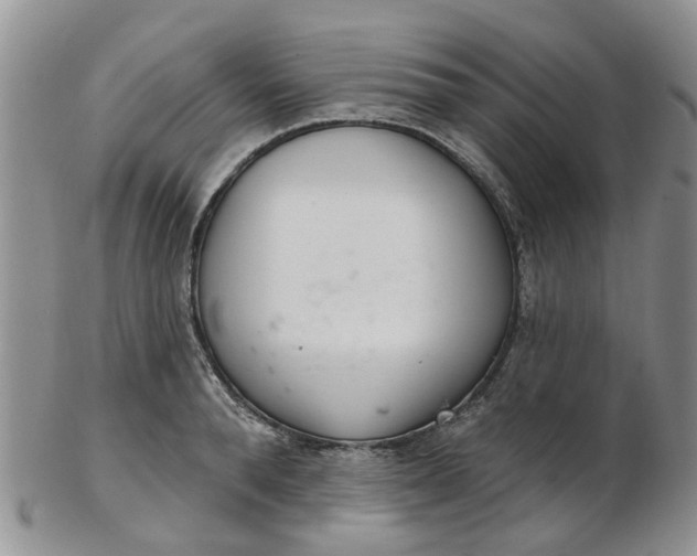 X0000103170896200809051719