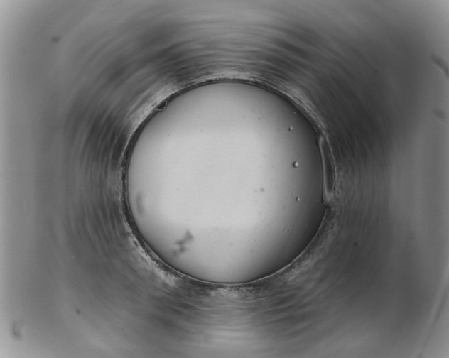 X0000103170898200809051719