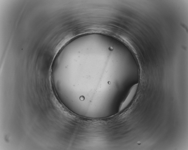 X0000103170899200809051719