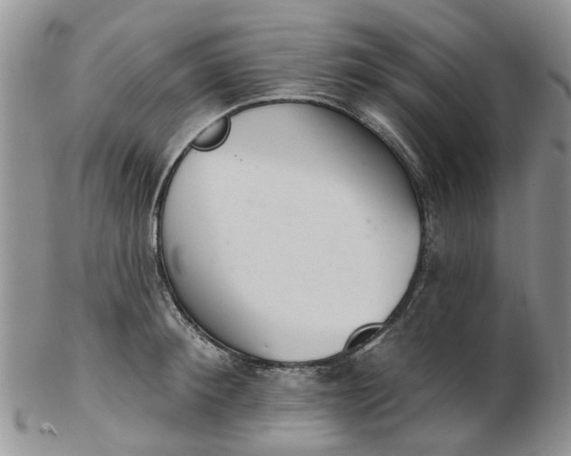 X0000103170900200809051719