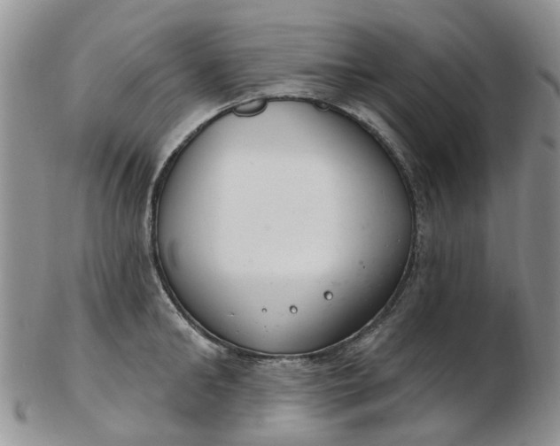 X0000103170902200809051719