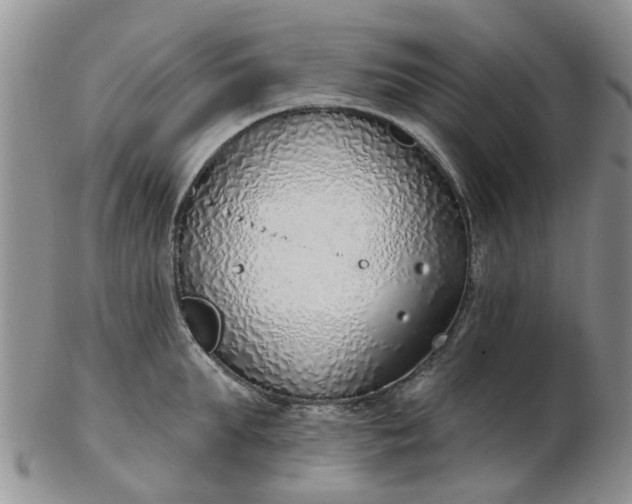 X0000103170903200809051719