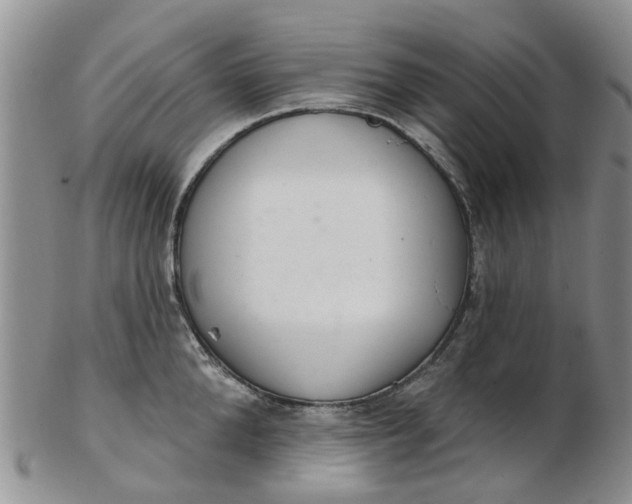 X0000103170904200809051719