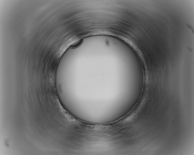 X0000103170905200809051719