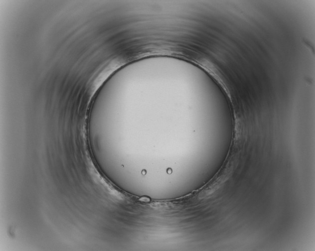 X0000103170906200809051719