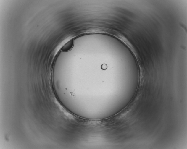 X0000103170909200809051719