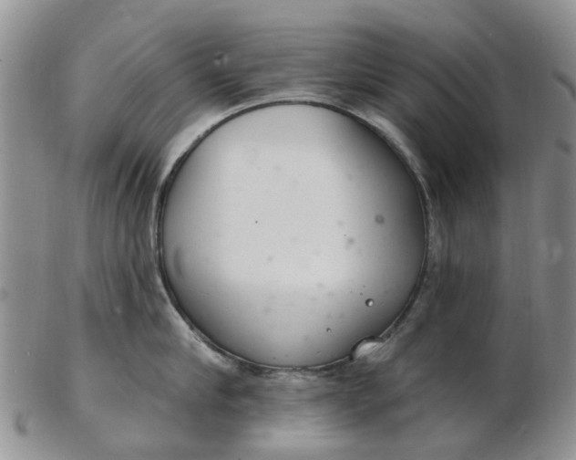 X0000103170910200809051719