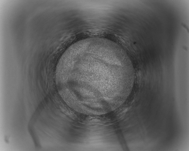 X0000103170913200809051718