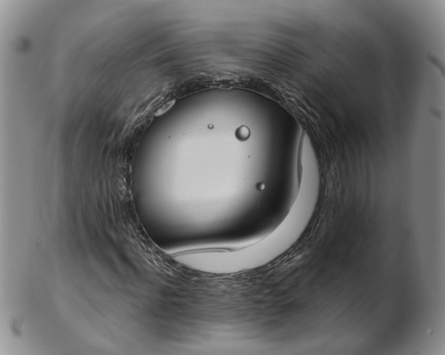 X0000103170916200809051718