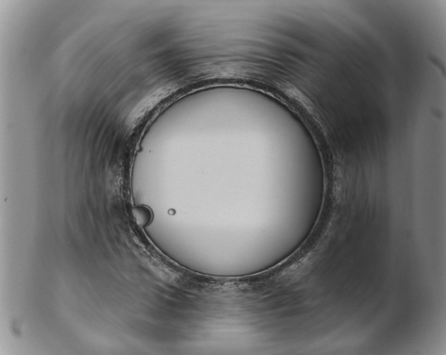 X0000103170922200809051718