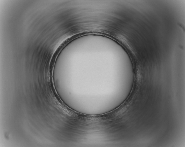 X0000103170924200809051718