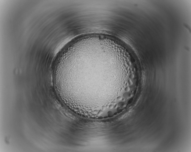 X0000103170925200809051718