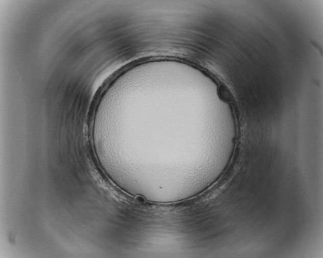 X0000103170928200809051718