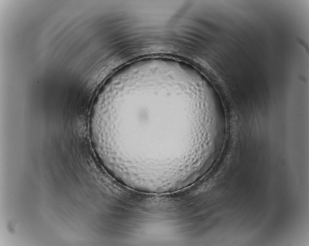 X0000103170929200809051718