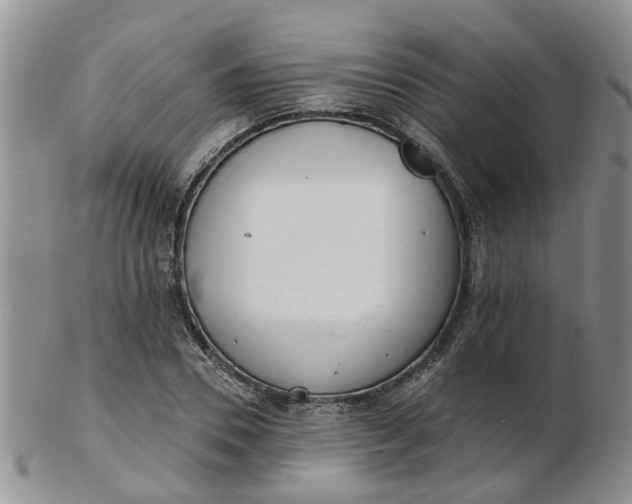 X0000103170930200809051718