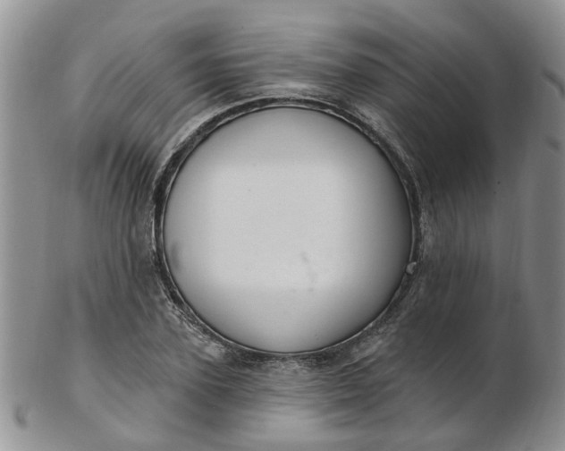 X0000103170931200809051718