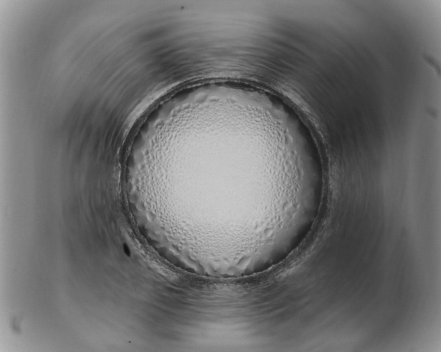 X0000103170933200809051718