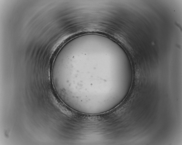 X0000103170934200809051718