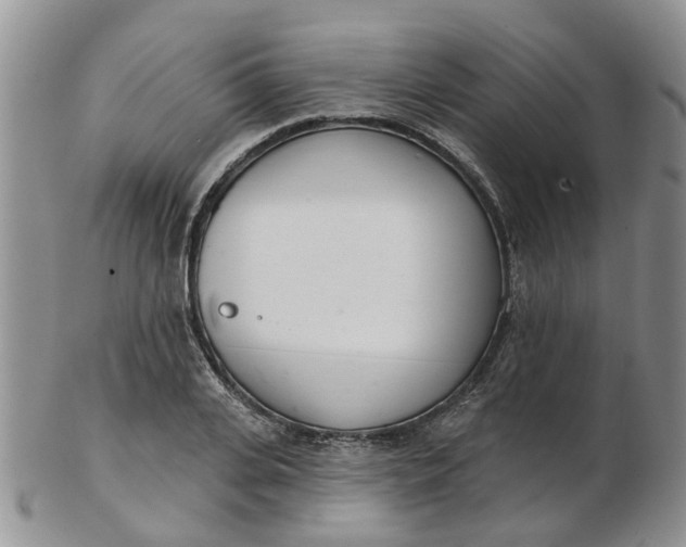 X0000103170935200809051718