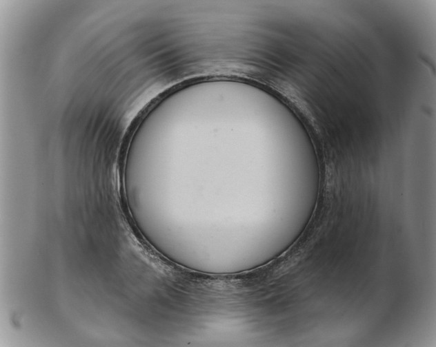 X0000103170936200809051718