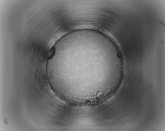 X0000103170937200809051718