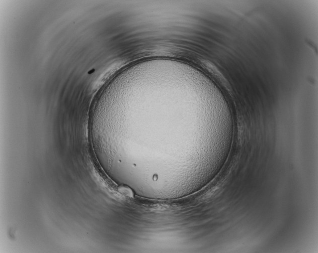 X0000103170938200809051718