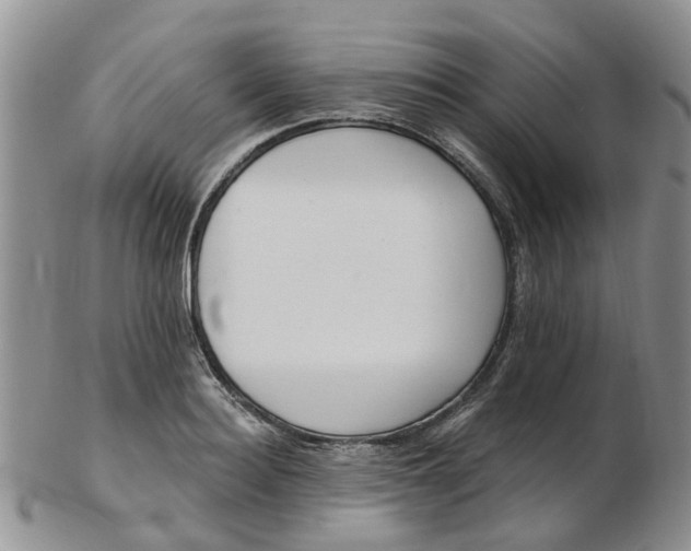 X0000103170940200809051718