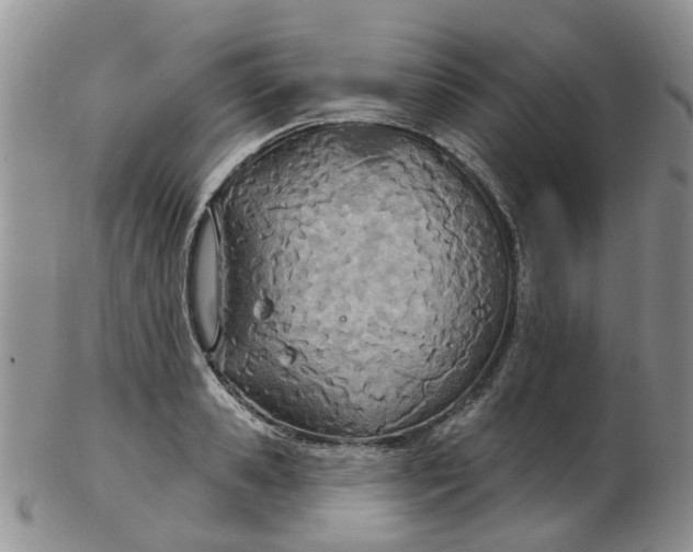 X0000103170941200809051718