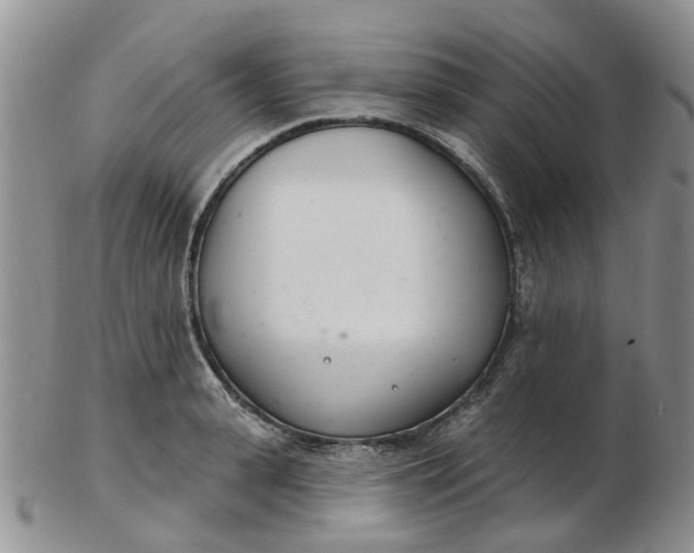 X0000103170943200809051718