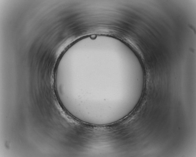 X0000103170944200809051719