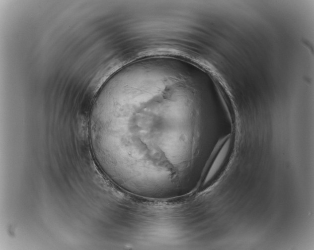 X0000103170945200809051719