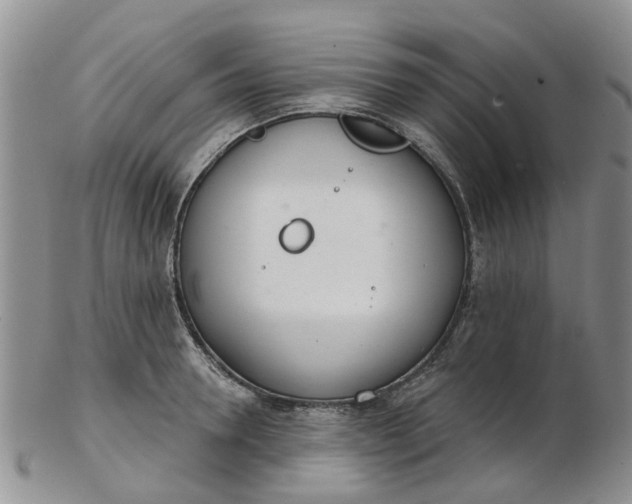 X0000103170946200809051719