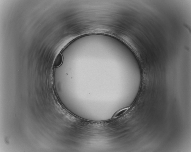 X0000103170948200809051719