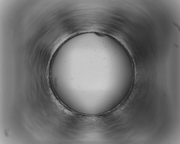 X0000103170949200809051719