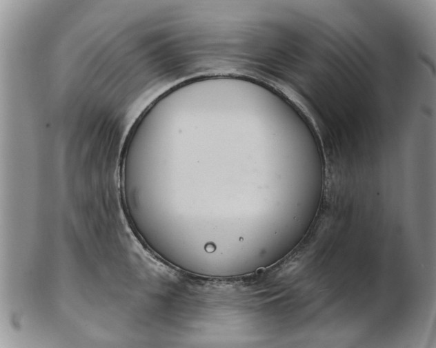 X0000103170951200809051719