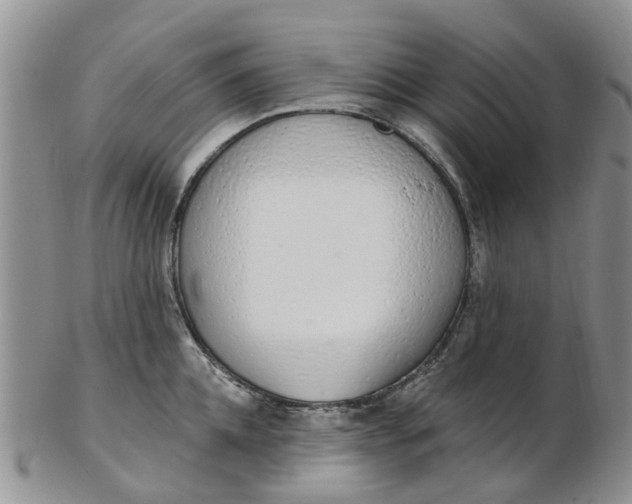 X0000103170952200809051719