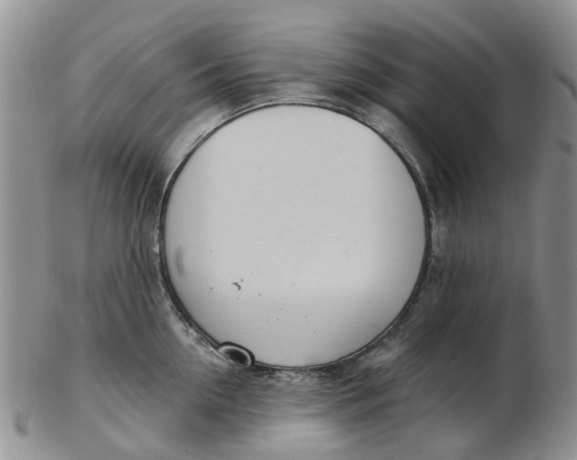 X0000103170954200809051719