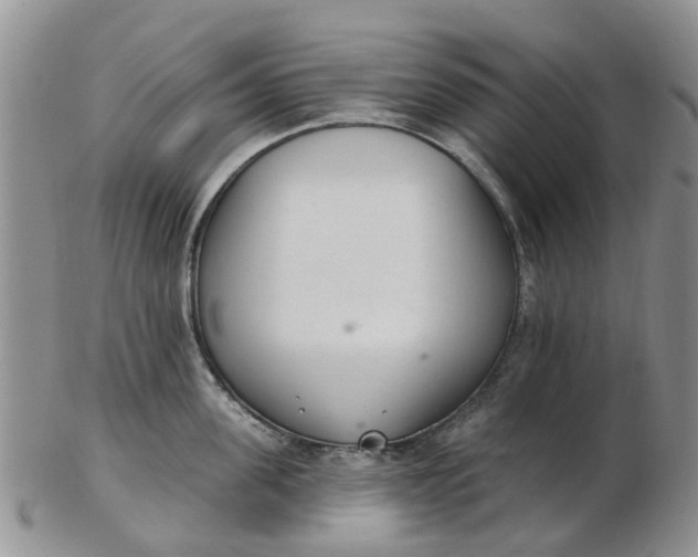 X0000103170955200809051719