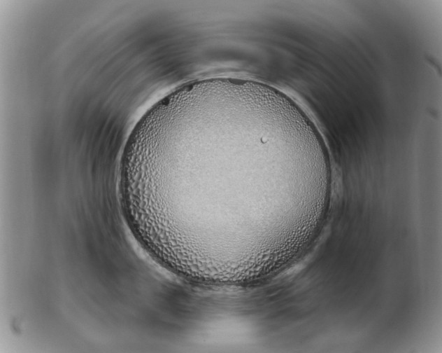 X0000103170957200809051719