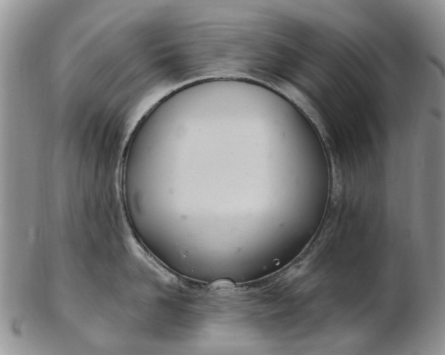 X0000103170958200809051719