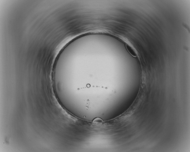 X0000103170959200809051719